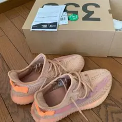 Adidas Yeezy boost 350 v2 cray