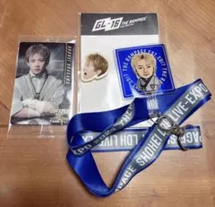 浦川翔平　ステッカー　フレークシール　ランペ　プラスパ　大暴年会　カウコン