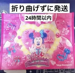 【新品未使用】ミニー　ショッピングバッグ　ショッパー　パルパルーザ　ディズニー