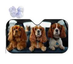 ココタ様 リクエスト 2点 まとめ商品