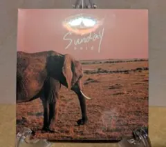 【未開封】Said - Sunday (廃盤) 宇都宮