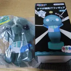 教育番組 エニマイくじ ラストワン賞 タマが爆発 ！？たま 未開封