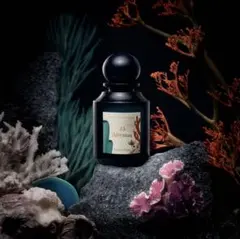 Bottega Déjà Minuit 香水 | Mercari