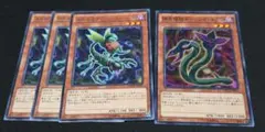 遊戯王 泰亜版 AES型番 捕食植物オフリス・スコーピオ 3枚セット