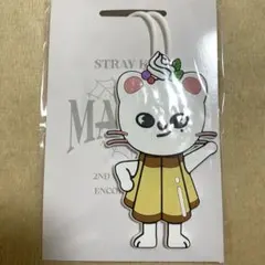 2025年最新】ラゲッジタグ スキズの人気アイテム - メルカリ