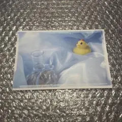 美しい彼 ポストカード 特典