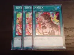 M1973 遊戯王 突然変異 ee1-jp038 ノーマル 3枚 - メルカリ