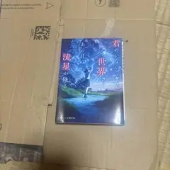 君のいない世界に、あの日の流星が降る