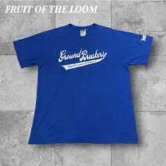 フルーツオブザルーム Tシャツ メンズL 青 バックプリント ナンバリング 古着のサムネイル