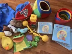 DWE play along プレイアロング　DVD CD おもちゃ