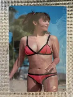新品未開封　深田恭子　オマージュアルミプレートブリキ看板④ セクシー　かわいい