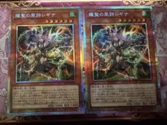 遊戯王 エルフェンノーツ 耀聖の波詩 ディーナ シークレット3枚 セット
