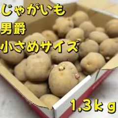 セイウチ様 リクエスト 2点 まとめ商品