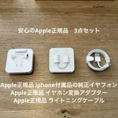 新品・未使用iPhone純正変換アダプタ付き！iPhone 純正付属品 イヤホン