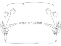 たぬちゃん様専用　エプロン　5枚セット