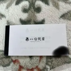 銀座山形屋　2026 お買物特別優待券 20%割引　①