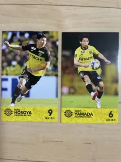 柏レイソル 細谷真大 山田雄都士 トレーディングカード ルヴァンカップ決勝