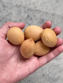 2025年最新】カイルンシアナの人気アイテム - メルカリ