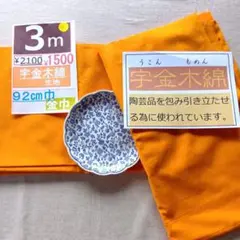 Item thumbnail for item 512f1a1f-c78b-4c2c-8eae-07a8e7db66ff