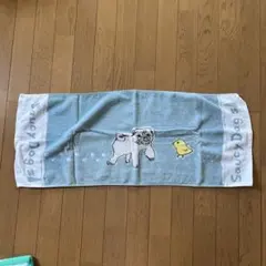 Saucy Dog タオルのサムネイル