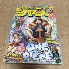 週刊少年ジャンプ 2008年29号 ONE PIECE連載500回 表紙 - メルカリ