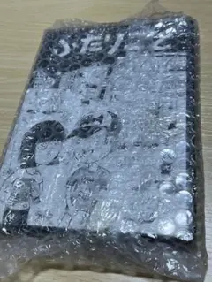 Item thumbnail for item 41c1f867-2d1e-4360-9a4f-37b91ad54075