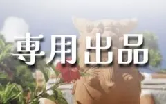 【専用出品】kumazoe様