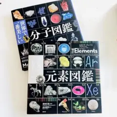 7/24まで出品☆世界で一番美しい図鑑シリーズ 3冊セット 創元社 - メルカリ