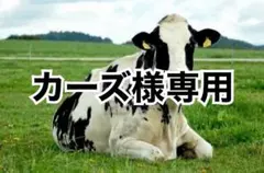 タン薄10、イエロー5