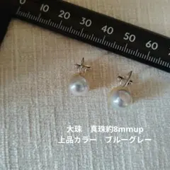 Pt900 ナチュラルブルーグレーあこや真珠 スイング チェーンピアス QVC Pt900 ナチュラルブルーグレーあこや真珠 スイング チェーンピアス QVC