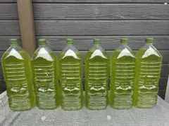 グリーンウォーター 12L めだか 青水のサムネイル