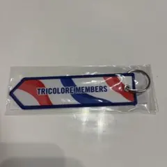 新品 横浜F・マリノス トリコロールメンバーズ フライトタグ