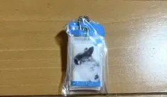 鼻セレブ ウサギ　ガチャガチャ