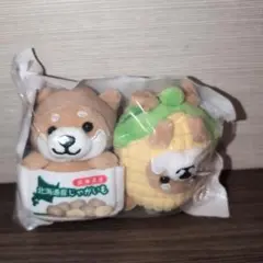 旅するマメしば　北海道　とうもろこし　じゃがいも