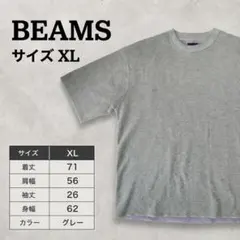 BEAMS ビームス 半袖クルーネックサマーニット XL グレー×ラベンダーリブのサムネイル