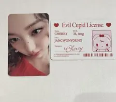IVE SECRET EVIL CUPID ウォニョン トレカ IDカード
