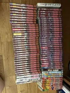 FAIRY TAIL ほぼ全巻セット