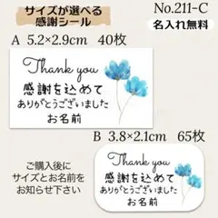 Item thumbnail for item ab047e2b-a836-457b-86ae-d4836f6f0c75