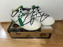 Nike x Off-White Dunk Low lot20