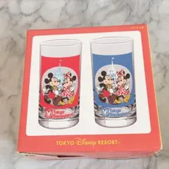 東京ディズニーランド 40周年 グラス2個セット