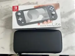 Nintendo Switch Lite グレー　ケース等おまけ付き