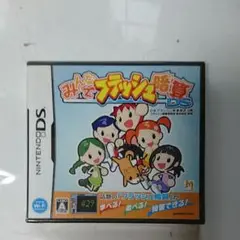 新品DSソフトみんなでフラッシュ暗算