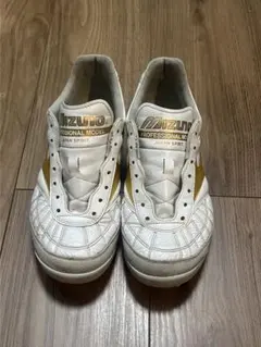 モレリア SALA JAPAN TFのサムネイル
