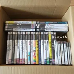 ザ・ナイトメア・オブ・ドルアーガ等　PS1.2ソフト32本セット