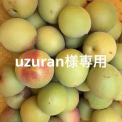 [우즈란 한정] 시라카가 3kg, 우메사토 1kg