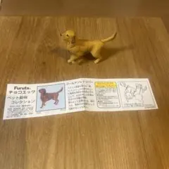 Furuta チョコエッグ ゴールデンレトリバー　フィギュア