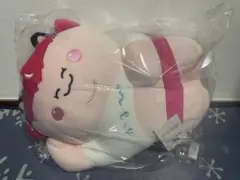 ポケモン アドバンスジェネレーション かわいいポケモンぬいぐるみ4