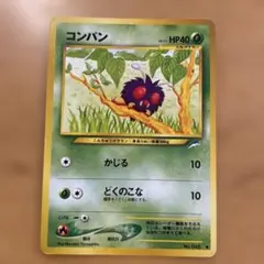 ポケモンカード　コンパン