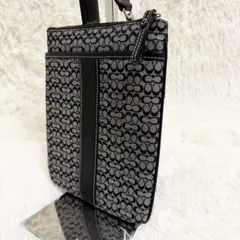 【美品】コーチ　coach ショルダーバッグ　シグネチャー　キャンバス　レザー