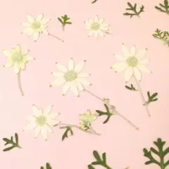 〜ponchan〜即購入OK❣様 リクエスト 4点 まとめ商品